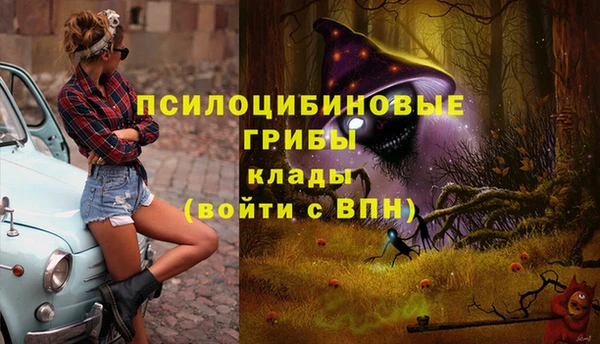 экстази Новозыбков
