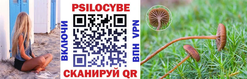 Галлюциногенные грибы MAGIC MUSHROOMS  Струнино 