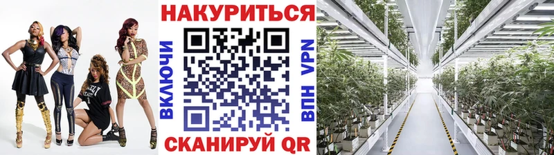 Бошки Шишки VHQ  Струнино 